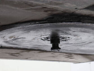 2019-schmitz-cargobull-scb-s3b-1424575-45550879