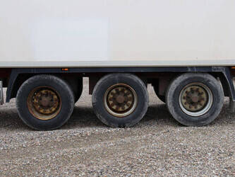 2009-krone-others-1424586-45551350