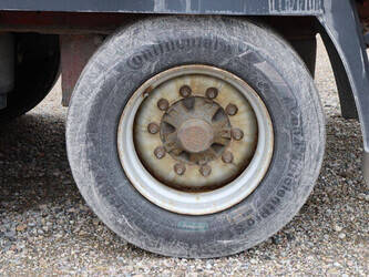 2009-krone-others-1424586-45551351