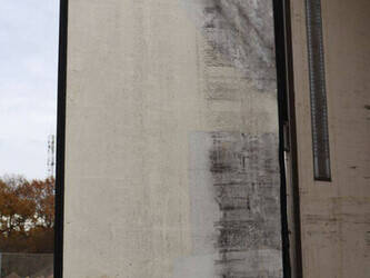 2009-krone-others-1424586-45551371