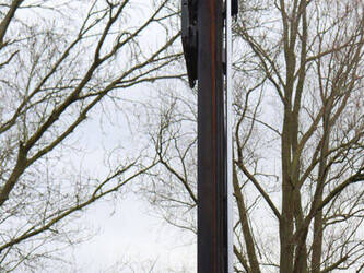 2013-hyster-j3-5xn-45577529