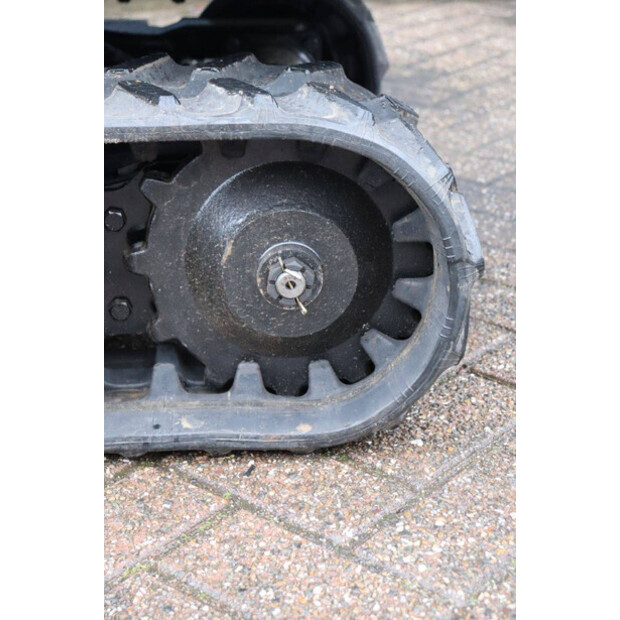 2025 كولت KV13-45579621