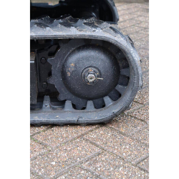 2025 كولت KV13-45579685