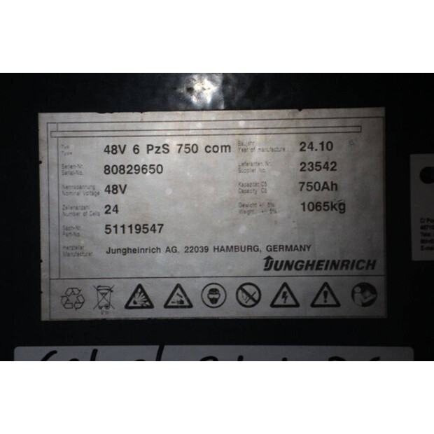 2010 Jungheinrich EFG 320-45581890