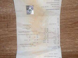 2020-peugeot-308-1425790-45637260