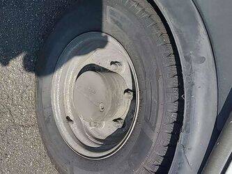 2010-other-citycat-2020-1425816-45637534