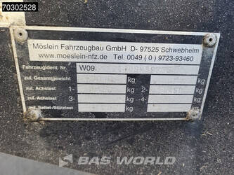 2020-moslein-others-45675363