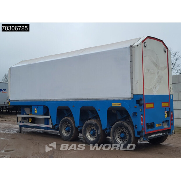 2018 فايمون فيل OTHERS-45694716