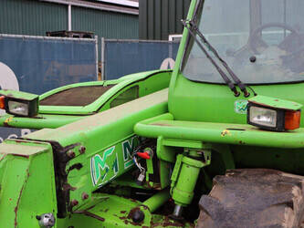 2006-merlo-p36-7-1427134-45713110