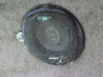 2006-merlo-p36-7-1427134-45713130