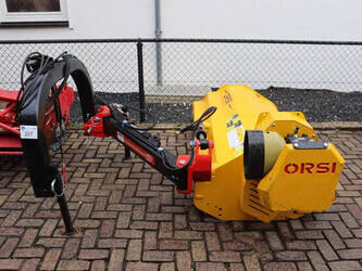 2020-orsi-others-1427211-45715492