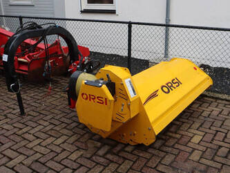 2020-orsi-others-1427211-45715493