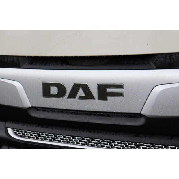 2019 DAF XF 480-45735741