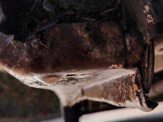 2011-fiat-ducato-1427991-45756584