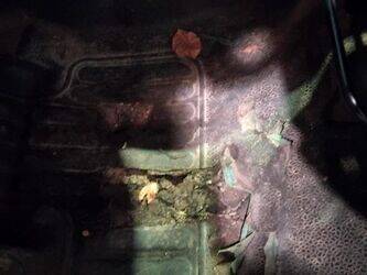 2015-renault-kangoo-1428333-45777619