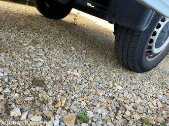 2019-man-tge-1428343-45777779