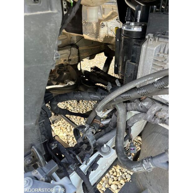 2019 مان TGE-45777783