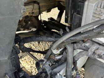 2019-man-tge-1428343-45777783