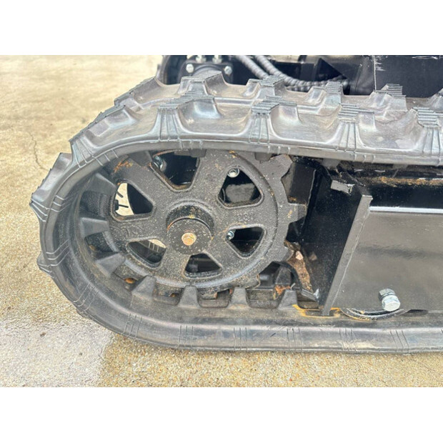 2025 VICSEC VC13-R-45781819