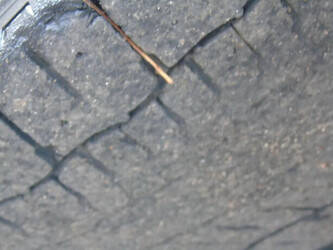 2012-man-tgs-1428775-45815112