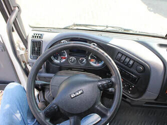 2009-daf-lf-1428826-45816990