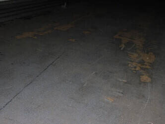 2007-tracon-to-s-1210-1428858-45818142