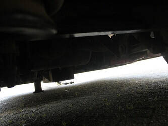 2003-van-eck-others-1428871-45818583