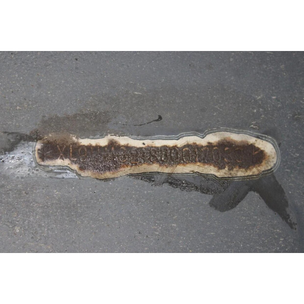 2003 فان إيك OTHERS-45818586