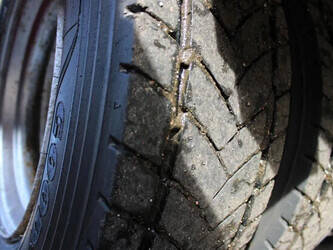 2009-iveco-eurocargo-1428891-45819322