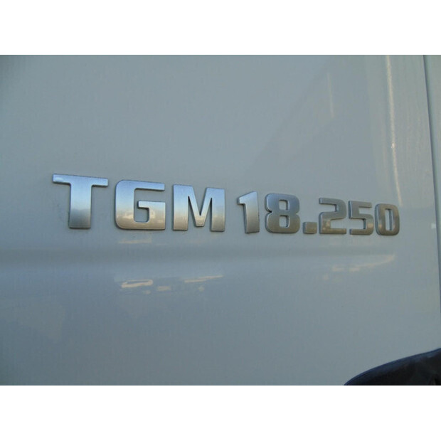 2020 MAN TGM 18.250-45823735