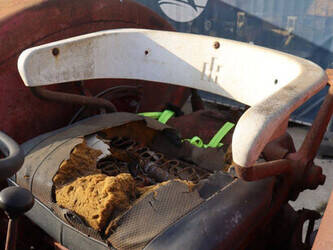 international-harvester-co-504-d-1429148-45827677