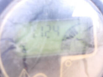 2011-toucan-8e-1429204-45828679