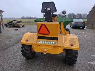 bergmann-1429405-45843059