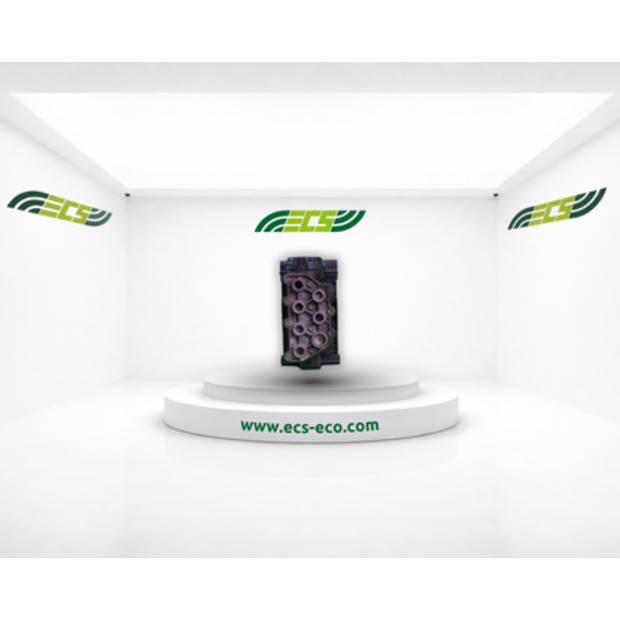 Renault Balloon Double Valve-45845321