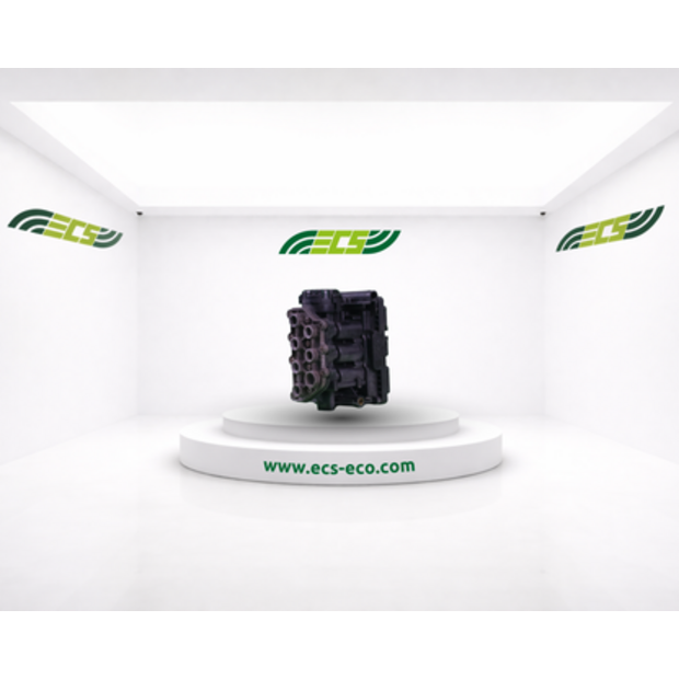 Renault Balloon Double Valve-45845322