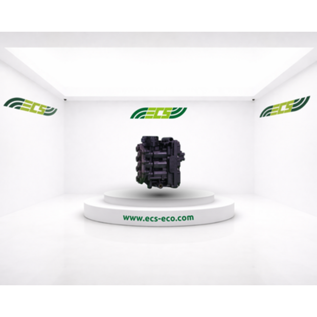 Renault Balloon Double Valve-45845324