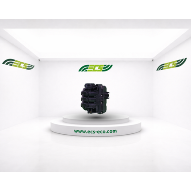 Renault Balloon Double Valve-45845325