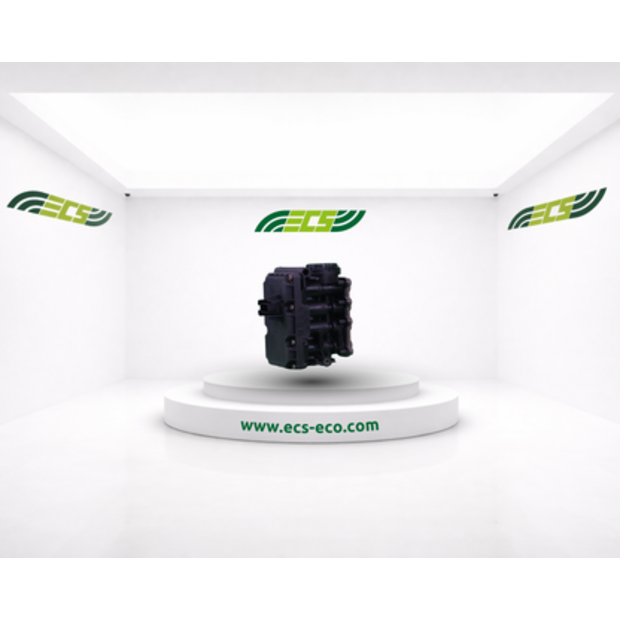 Renault Balloon Double Valve-45845326