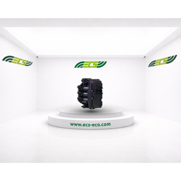 Renault Balloon Double Valve-45845327