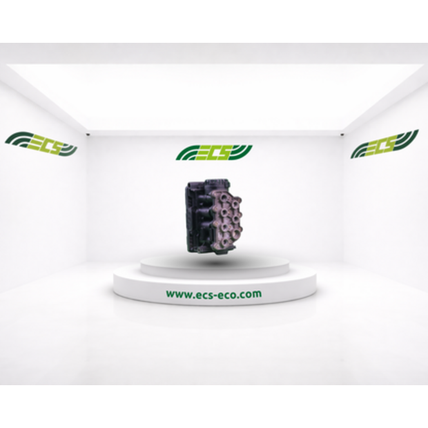 Renault Balloon Double Valve-45845328