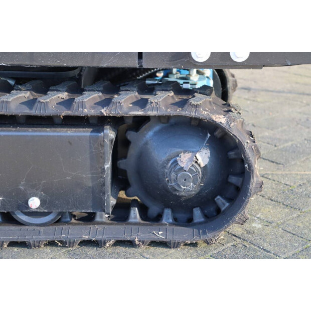 2023 كارتر CT10-45846494