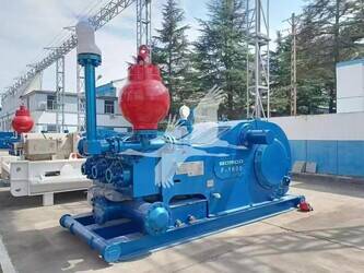 Image for PUMPS 2021 BOMCO F1600