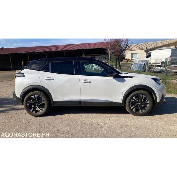 2020 بيجو 2008-45861012