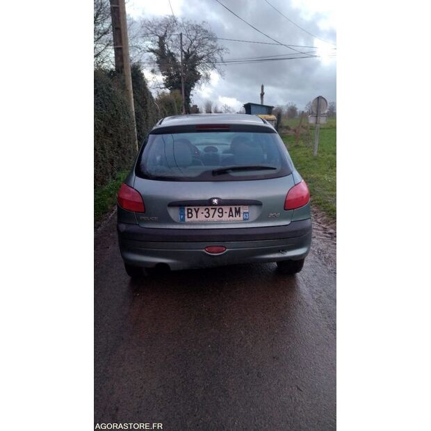 1998 Peugeot 206-45861499