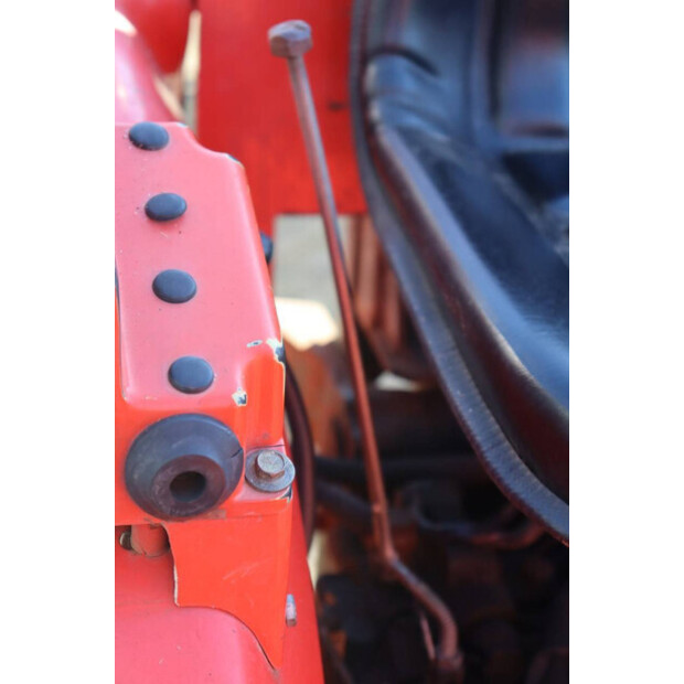 جولدوني Idea 30DT-45868656