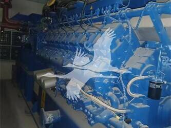 2015-mwm-tcg2020-45881783