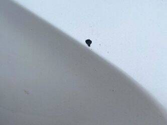 2017-nissan-qashqai-1430085-45884064