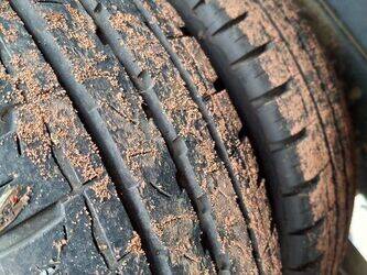 2006-nissan-cabstar-1430515-45903701