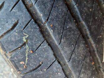 2006-nissan-cabstar-1430515-45903703