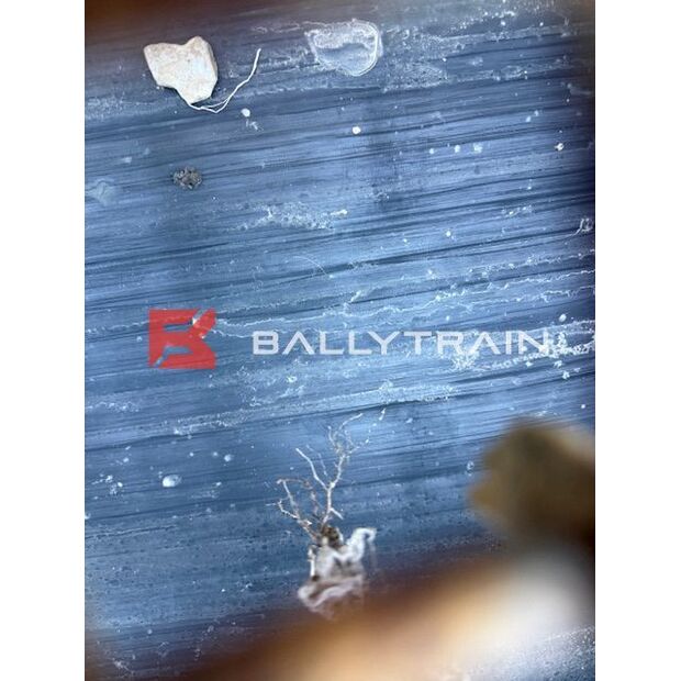 2020 TBR 1005 B-45918589